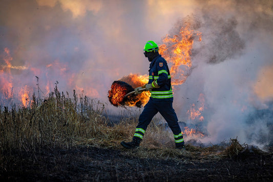 Wildfire smoke can harm your Brain , not just your Lungs !