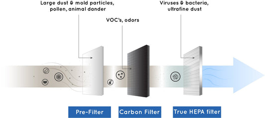 Why CARB ratings are godsend to the air purification industry?