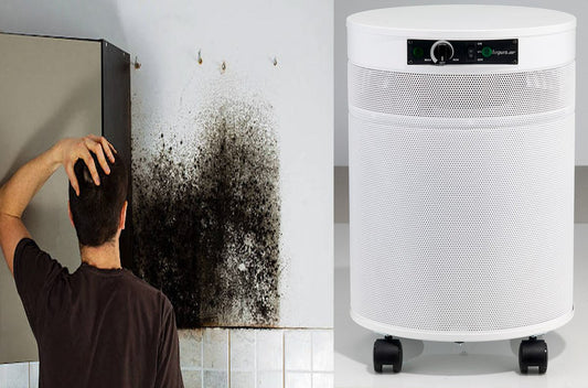 The Best Air Purifier for removing Mycotoxins and Mold spores