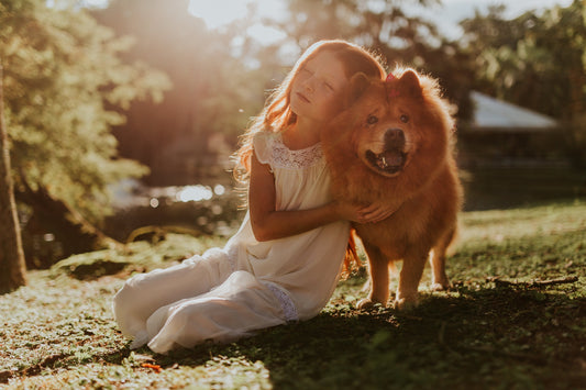 6 Proven Methods to Tackle Pet Allergies