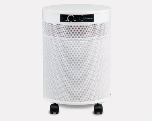 White P600 Germs, Mold and Chemicals Reduction air purifier from Airpura Industries